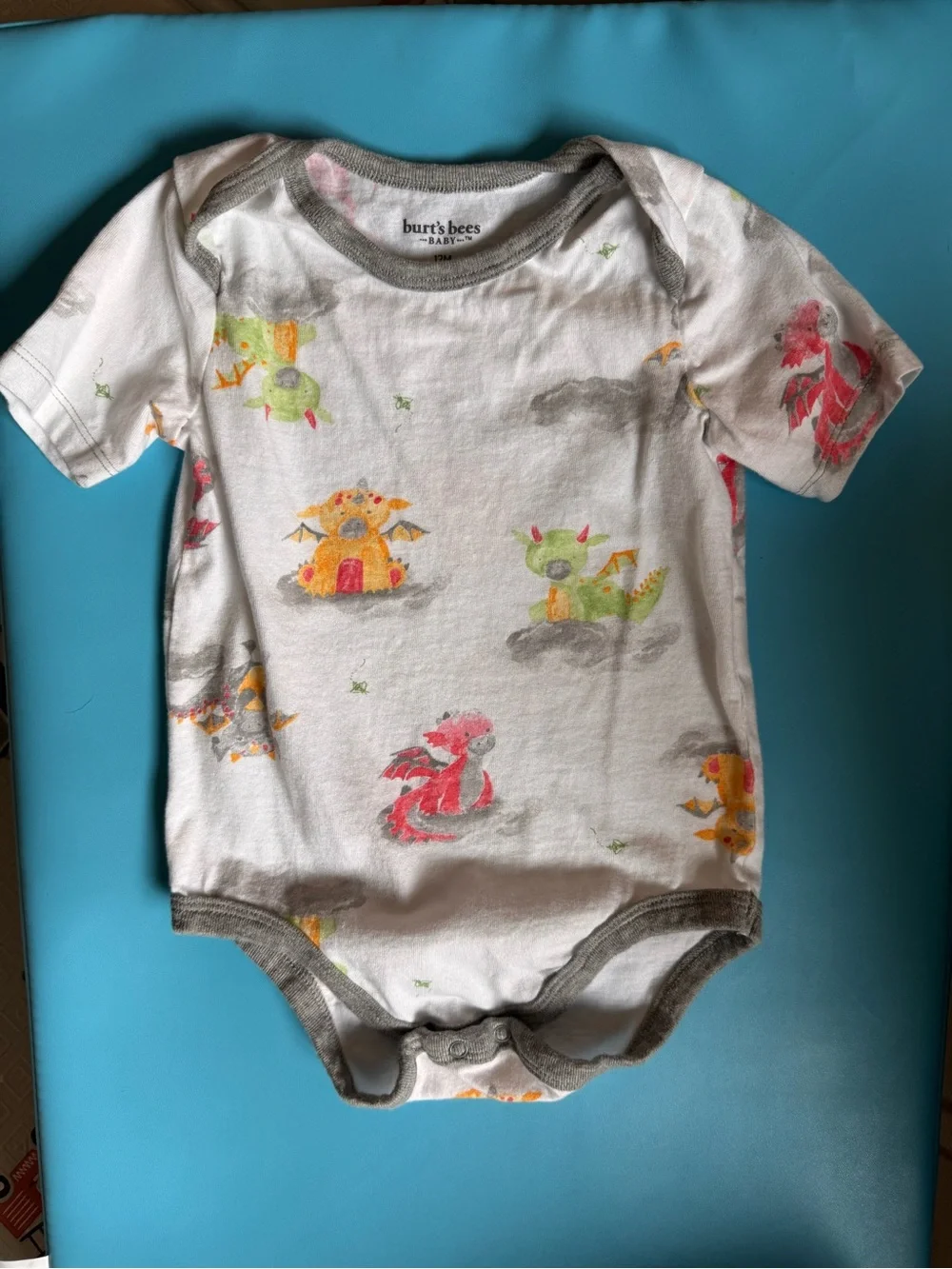 Burt's Bees Baby White Dragon Print Short Sleeve Bodysuit with Gray Trim